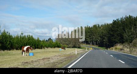 Der Volcanic Loop Highway, eine malerische Nebenstraße durch den Tongariro National Park, Neuseeland Stockfoto