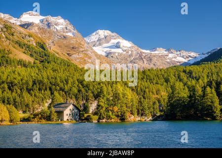 Haus am Ufer des Lake Sils (Grisons, Schweiz) an einem sonnigen Spätsommer, Anfang Herbst September Tag. Es wird auch Silsersee genannt Stockfoto