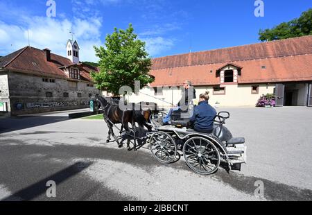 Gomadingen, Deutschland. 25.. Mai 2022. Eine Kutsche fährt auf dem Gelände des Landgestüts Marbach. Das Landgestüt Marbach ist mehr als 500 Jahre alt. Im Laufe der Zeit waren viele Anpassungen notwendig und neue Aufgaben wurden hinzugefügt. Neben der Erhaltung gefährdeter Pferderassen gibt es noch weitere Herausforderungen. (To dpa: Marbach State Stud Faces Cuts - Generationswechsel, Öko und KI) Quelle: Bernd Weißbrod/dpa/Alamy Live News Stockfoto