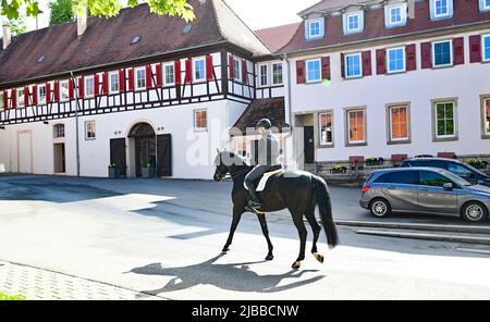 Gomadingen, Deutschland. 25.. Mai 2022. Ein Reiter auf dem Gelände des Landgestüts Marbach. Das Landgestüt Marbach ist mehr als 500 Jahre alt. Im Laufe der Zeit waren viele Anpassungen notwendig, neue Aufgaben wurden hinzugefügt. Neben der Erhaltung gefährdeter Pferderassen gibt es noch weitere Herausforderungen. (To dpa: Marbach State Stud Faces Cuts - Generationswechsel, Öko und KI) Quelle: Bernd Weißbrod/dpa/Alamy Live News Stockfoto