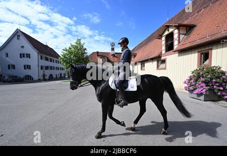 Gomadingen, Deutschland. 25.. Mai 2022. Ein Reiter auf dem Gelände des Landgestüts Marbach. Das Landgestüt Marbach ist mehr als 500 Jahre alt. Im Laufe der Zeit waren viele Anpassungen notwendig, neue Aufgaben wurden hinzugefügt. Neben der Erhaltung gefährdeter Pferderassen gibt es noch weitere Herausforderungen. (To dpa: Marbach State Stud Faces Cuts - Generationswechsel, Öko und KI) Quelle: Bernd Weißbrod/dpa/Alamy Live News Stockfoto