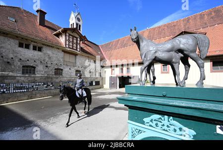 Gomadingen, Deutschland. 25.. Mai 2022. Ein Reiter auf dem Gelände des Landgestüts Marbach. Das Landgestüt Marbach ist mehr als 500 Jahre alt. Im Laufe der Zeit waren viele Anpassungen notwendig, neue Aufgaben wurden hinzugefügt. Neben der Erhaltung gefährdeter Pferderassen gibt es noch weitere Herausforderungen. (To dpa: Marbach State Stud Faces Cuts - Generationswechsel, Öko und KI) Quelle: Bernd Weißbrod/dpa/Alamy Live News Stockfoto