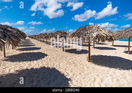 Strohschirm am leeren Strand in Varadero, Kuba. Entspannung, Urlaub idyllischer Hintergrund. Viele reetgedeckte Sonnenschutze. Stockfoto