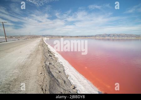 Das Wasser in Salzteichen erhält aufgrund von Dunaliella salina einen rosa Farbton Stockfoto