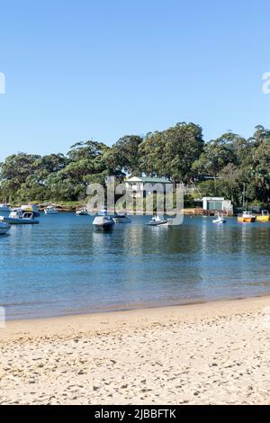 Balmoral Beach in Sydney und Boote, die im Hafen, NSW, Australien, mit blauem Himmel festgemacht sind, kopieren Platz Stockfoto