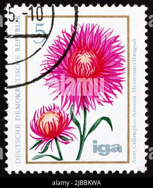 DDR - UM 1975: Eine in der DDR gedruckte Briefmarke zeigt China Aster, Callistephus Chinensis, Flower, um 1975 Stockfoto