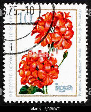 DDR - UM 1975: Eine in der DDR gedruckte Briefmarke zeigt Pelargonium, Flowering Plant, um 1975 Stockfoto