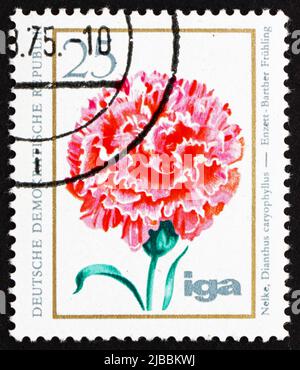 DDR - UM 1975: Eine in der DDR gedruckte Briefmarke zeigt Standard Nelke, Dianthus Caryophyllus, Blume, um 1975 Stockfoto