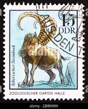 DDR - UM 1975: Eine in der DDR gedruckte Briefmarke zeigt Sibirische Gämsen, Rupicapra Rupicapra, Deutscher Zoologischer Garten Halle, um 1975 Stockfoto