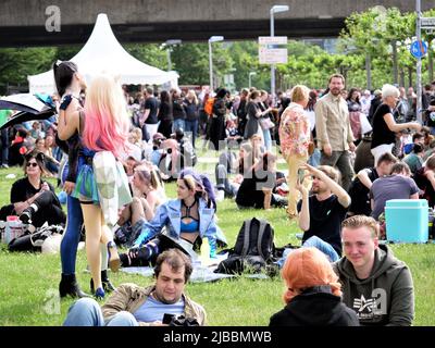 Deutschland, Düsseldorf, Düsseldorf, Rheinpromenade, Mai 21, 2022, 413 Uhr, Japan Day Festival des japanischen Volkes, Menschen speichern Massen auf einer Wiese und Stockfoto