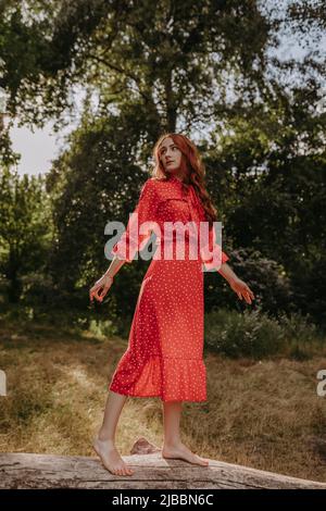 Rothaarige junge Frau im roten Sommerkleid, die auf einem trocken gefallenen Baum mitten im Wald steht und balanciert Stockfoto