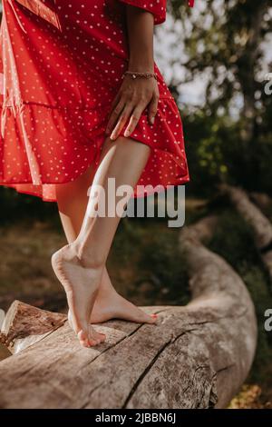 Beine einer jungen Frau, die auf dem hölzernen wilden trockenen Balken eines gefallenen Baumes steht. Weibliche Person posiert auf einer Kamera und zeigt ihre Beine und berührende Beine von ha Stockfoto