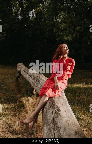 Porträt einer jungen Rothaarige Frau in rotem kurzen Sommerkleid mit weißen Flecken, die auf dem Holzbalken eines trocken gefallenen Baumes sitzen Stockfoto