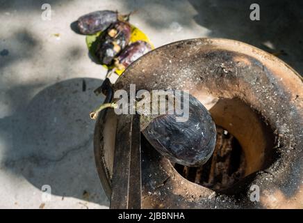 Ganze geröstete Aubergine oder Brinjal in einem traditionellen Ton Angeethi oder Kamin in Nordindien. Stockfoto