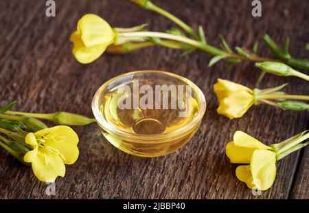 Eine Schüssel mit Nachtkerzenöl Oenothera biennis mit frischen Blumen Stockfoto