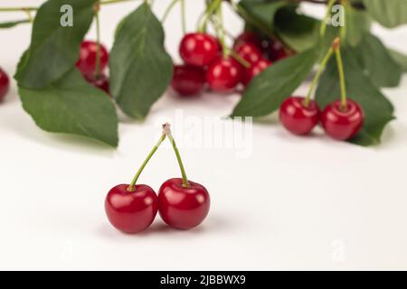 Frische Sauerkirschbeeren, grüne Blätter und Zweig isoliert auf weißem Hintergrund. Nahaufnahme. Stockfoto