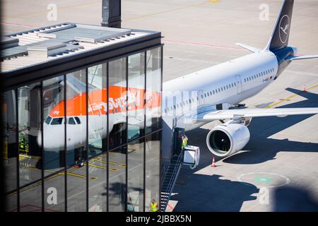 Berlin, Deutschland. 03.. Juni 2022. Ein Flugzeug am Flughafen Berlin Brandenburg. Quelle: Christoph Soeder/dpa/Symbolbild/dpa/Alamy Live News Stockfoto