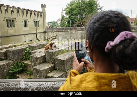 Bärenpark Bern. Die Bärengraben ist eines der beliebtesten Touristenziele für Kinder. Bern, Schweiz - Juni 2022 Stockfoto