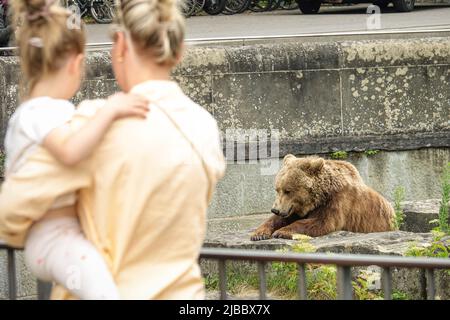 Bärenpark Bern. Die Bärengraben ist eines der beliebtesten Touristenziele für Kinder. Bern, Schweiz - Juni 2022 Stockfoto