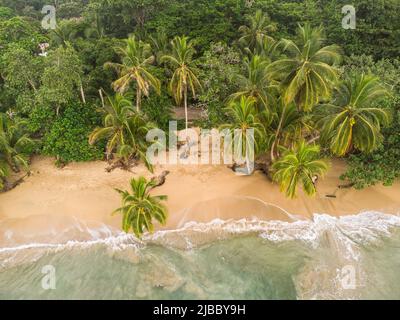 Puerto Viejo, Costa Rica - atemberaubende Luftaufnahme des Strandes von Punta Uva entlang des karibischen Meeres in Costa Rica in Mittelamerika. Stockfoto