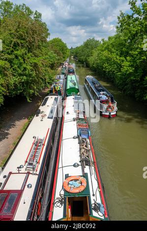 Blick auf ein Schmalboot, das an einer großen Anzahl von festgetäuten Booten auf dem Grand Union Canal in der Nähe von Crick in Northamptonshire vorbeifährt. Stockfoto