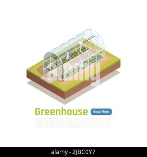 Moderne Gewächshaus intelligente hydroponische planten Grow Trays Technologie mit eingebettetem Klimasystem Outdoor isometrische Ansicht Illustration Stock Vektor