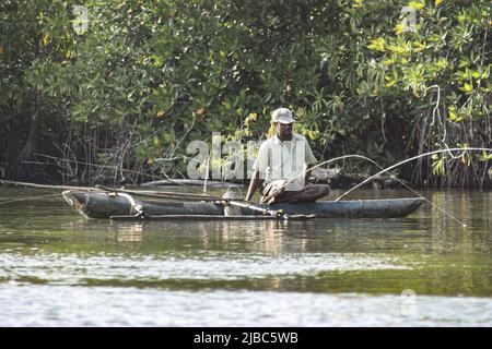 Ein Sri-lankischer Fischer auf einem primitiven Boot, der mehrere Linien auf einmal auf dem Madu Ganga Fluss in Sri Lanka fischt. Stockfoto