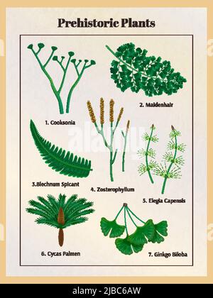 Prähistorische Pflanzen botanischen Satz mit Textunterschriften und isolierte Bilder von Kräutern innerhalb der vertikalen Rahmen Vektor-Illustration Stock Vektor