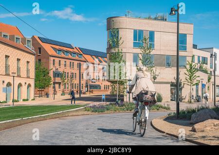 Schönes Mädchen, das im Frühjahr oder Sommer auf einem neuen Radweg oder einer Straße zwischen modernen Gebäuden im Zentrum von Odense, Dänemark, Fahrrad fährt Stockfoto