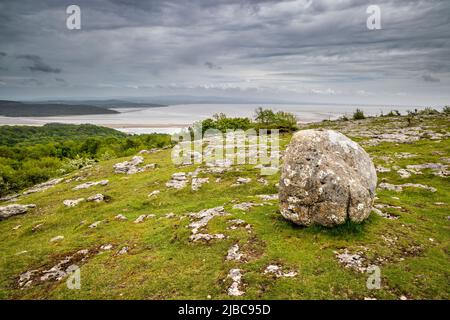 Ein Eiserrakt auf dem Kalksteinpflaster in Hampsfell mit Blick auf Morecombe Bay, Lake District, England Stockfoto