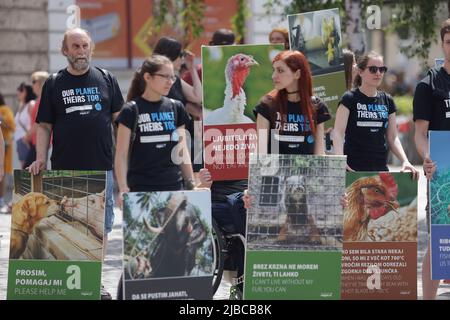 Ljubljana, Slowenien. 05.. Juni 2022. Die Demonstranten tragen Plakate während einer globalen Kundgebung am Tag der nationalen Tierrechte. Am gleichen Tag fanden in mehreren Städten der Welt Kundgebungen zum Tag der nationalen Tierrechte statt. Kredit: SOPA Images Limited/Alamy Live Nachrichten Stockfoto