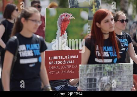 Ljubljana, Slowenien. 05.. Juni 2022. Die Demonstranten tragen Plakate während einer globalen Kundgebung am Tag der nationalen Tierrechte. Am gleichen Tag fanden in mehreren Städten der Welt Kundgebungen zum Tag der nationalen Tierrechte statt. Kredit: SOPA Images Limited/Alamy Live Nachrichten Stockfoto