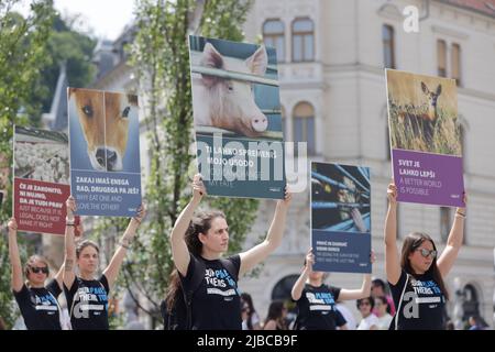 Ljubljana, Slowenien. 05.. Juni 2022. Die Demonstranten tragen Plakate während einer globalen Kundgebung am Tag der nationalen Tierrechte. Am gleichen Tag fanden in mehreren Städten der Welt Kundgebungen zum Tag der nationalen Tierrechte statt. Kredit: SOPA Images Limited/Alamy Live Nachrichten Stockfoto