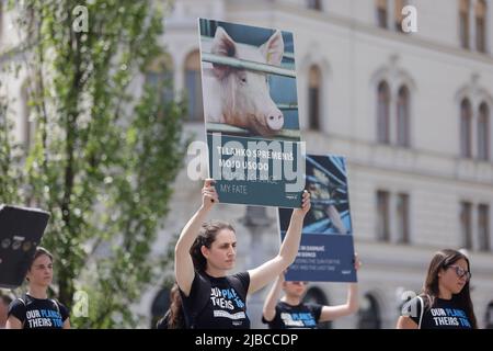 Die Demonstranten tragen Plakate während einer globalen Kundgebung am Tag der nationalen Tierrechte. Am gleichen Tag fanden in mehreren Städten der Welt Kundgebungen zum Tag der nationalen Tierrechte statt. (Foto von Luka Dakskobler / SOPA Images/Sipa USA) Stockfoto