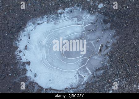 Gefrorene Pfütze im Winter mit kreisförmigen Eismustern Stockfoto