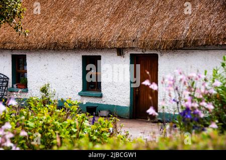 Strohdach in Irland. Stockfoto