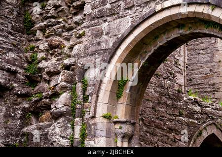 Rundbogen, Spitzbogen und eine in die Ruinen der Boyle Abbey gehauene Hauptstadt in Boyle, Irland. Stockfoto