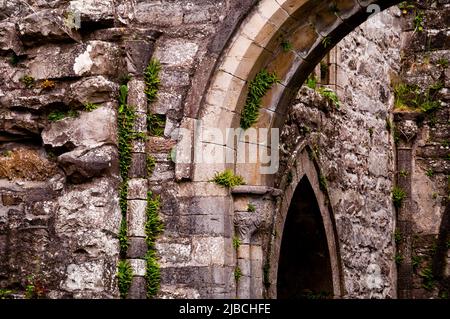 Die Ruinen der Boyle Abbey weisen Elemente der frühgotischen und romanischen Architektur im County Roscommon, Irland, auf. Stockfoto