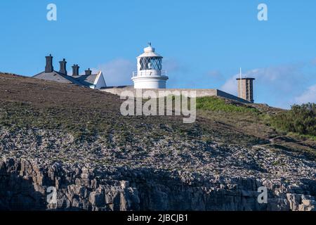 Anvil Point Lighthouse vom Meer aus an der Jurassic Coast of Dorset in der Nähe von Swanage, England, Großbritannien Stockfoto