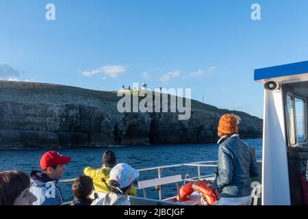 Passagiere mit Bootsausflug schauen sich den Leuchtturm von Anvil Point an der Jurassic Coast in der Nähe von Swanage in Dorset, England, Großbritannien, an Stockfoto