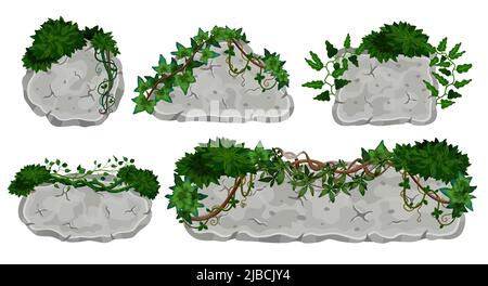 Tropische Lianen Steintafeln mit isolierten Bildern von Schildern aus Felsen mit Weinblättern Vektorgrafik gesetzt Stock Vektor