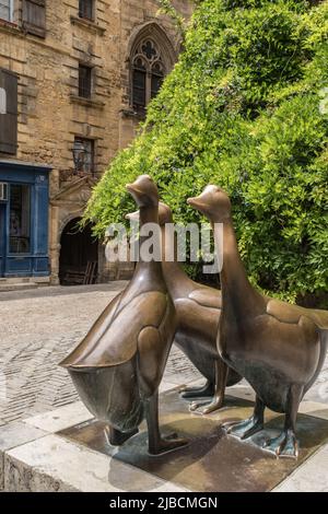 Place du Marché-aux-Oies Stockfoto