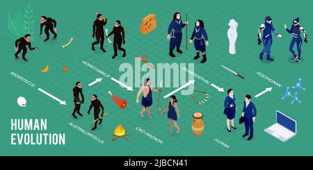 Isometric Infographics Layout der menschlichen Evolution mit Bildern des Homo habilis ardipithecus cro magnon australopithecus als uralte Familien von Höhlenmenschen vekten Stock Vektor