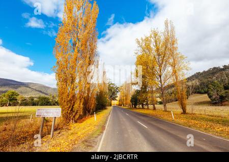 Gould Memorial Drive in Marysville in Australien Stockfoto