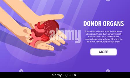 Isometrisches Banner für menschliche Organe des Spenders mit Händen, die das anatomische Herz und den Text mit einer Vektordarstellung mit mehr Schaltflächen halten Stock Vektor