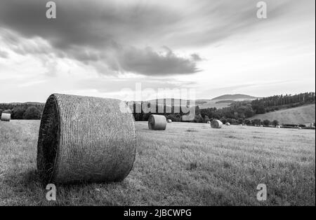 Heuballen, die während des Sonnenuntergangs auf einem Feld in der Nähe von Benešov, Tschechien, in schwarz-weiß liegen Stockfoto