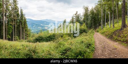 Blick von einer unbefestigten Bergstraße hinunter in ein Tal mit dem Lysá hora Berg im Hintergrund, Tschechien Stockfoto