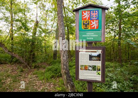 Národní přírodní památka Sumpf, Machovo jezero, Máchův kraj, Ceska republika / Naturschutzgebiet Sumpf, Macha See, Tschechische republik Stockfoto