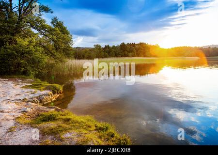 Národní přírodní památka Sumpf, Machovo jezero, Máchův kraj, Ceska republika / Naturschutzgebiet Sumpf, Macha See, Tschechische republik Stockfoto