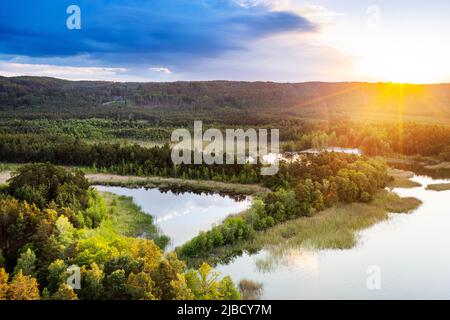 Národní přírodní památka Sumpf, Machovo jezero, Máchův kraj, Ceska republika / Naturschutzgebiet Sumpf, Macha See, Tschechische republik Stockfoto